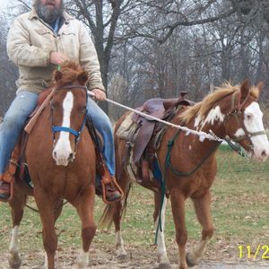 Meet your Posher, Frank